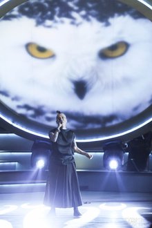 Автор фото: Arichi