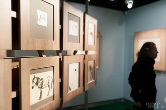 Автор фото: Arichi