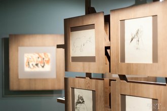 Автор фото: Arichi