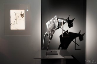 Автор фото: Arichi