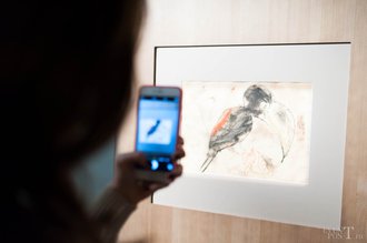 Автор фото: Arichi