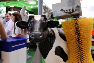 Автор фото: Arichi