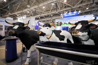 Автор фото: Arichi