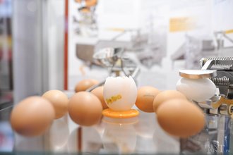 Автор фото: Arichi