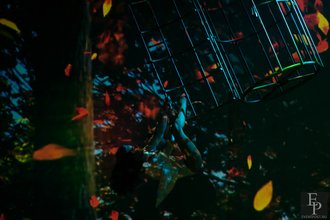 Автор фото: Arichi