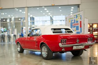 Автор фото: Delexir