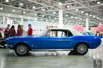 Автор фото: Delexir