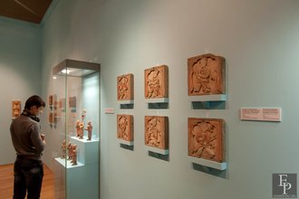 Автор фото: Arichi