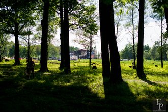 Автор фото: Delexir