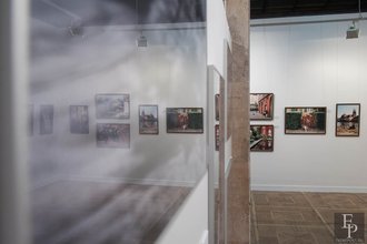 Автор фото: Arichi