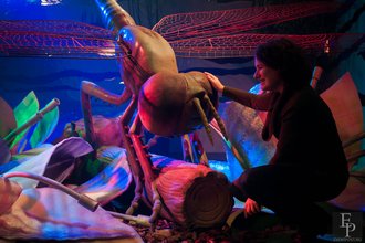 Автор фото: Arichi