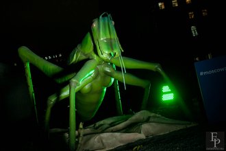 Автор фото: Arichi