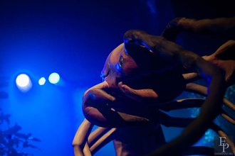 Автор фото: Arichi