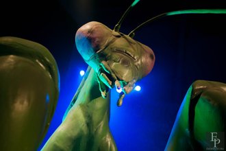 Автор фото: Arichi