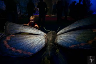 Автор фото: Arichi