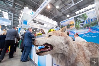 Автор фото: Arichi