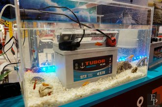 Автор фото: Delexir