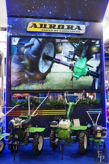 Автор фото: Delexir