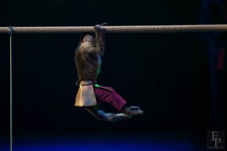 Автор фото: Arichi