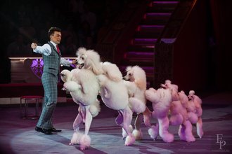 Автор фото: Arichi