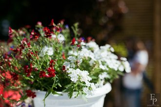 Автор фото: Arichi