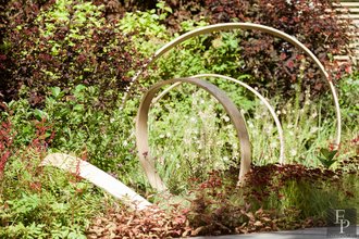 Автор фото: Arichi