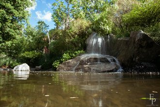 Автор фото: Arichi