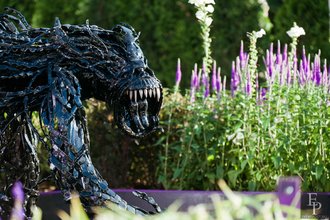 Автор фото: Arichi