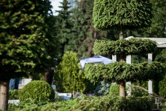 Автор фото: Arichi