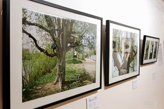 Автор фото: wincomm