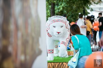 Автор фото: Arichi