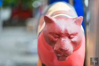 Автор фото: Arichi