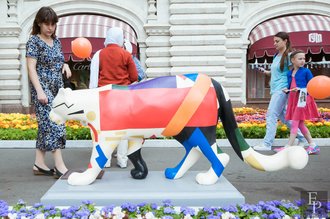 Автор фото: Arichi