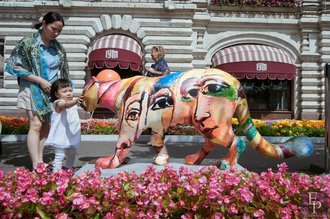 Автор фото: Arichi