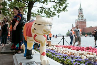 Автор фото: Arichi