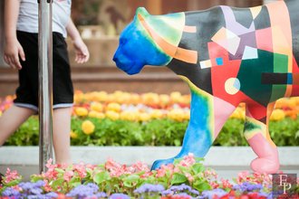 Автор фото: Arichi