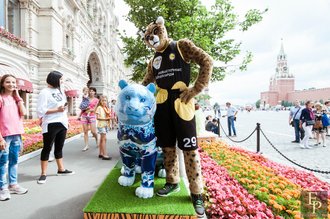 Автор фото: Arichi