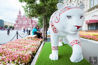 Автор фото: Arichi