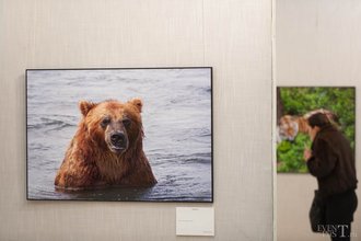 Автор фото: Arichi