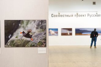 Автор фото: Arichi