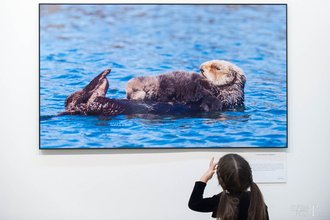 Автор фото: Arichi