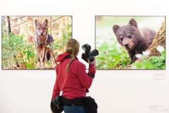 Автор фото: Arichi