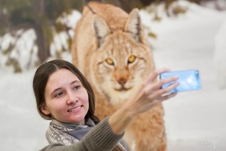 Автор фото: Arichi