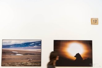 Автор фото: Arichi