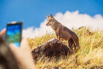 Автор фото: Arichi