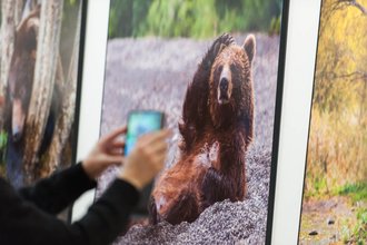 Автор фото: Arichi