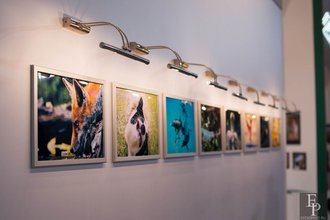 Автор фото: Delexir