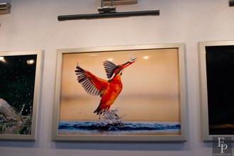 Автор фото: Delexir