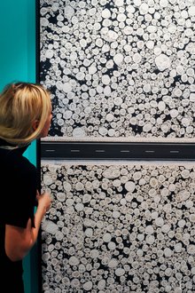 Автор фото: Arichi