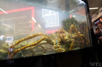 Автор фото: Delexir